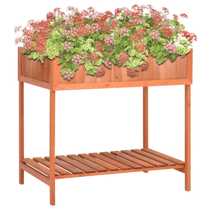 vidaXL Herb Planter 31.5"x23.6"x31.5" Solid Firwood